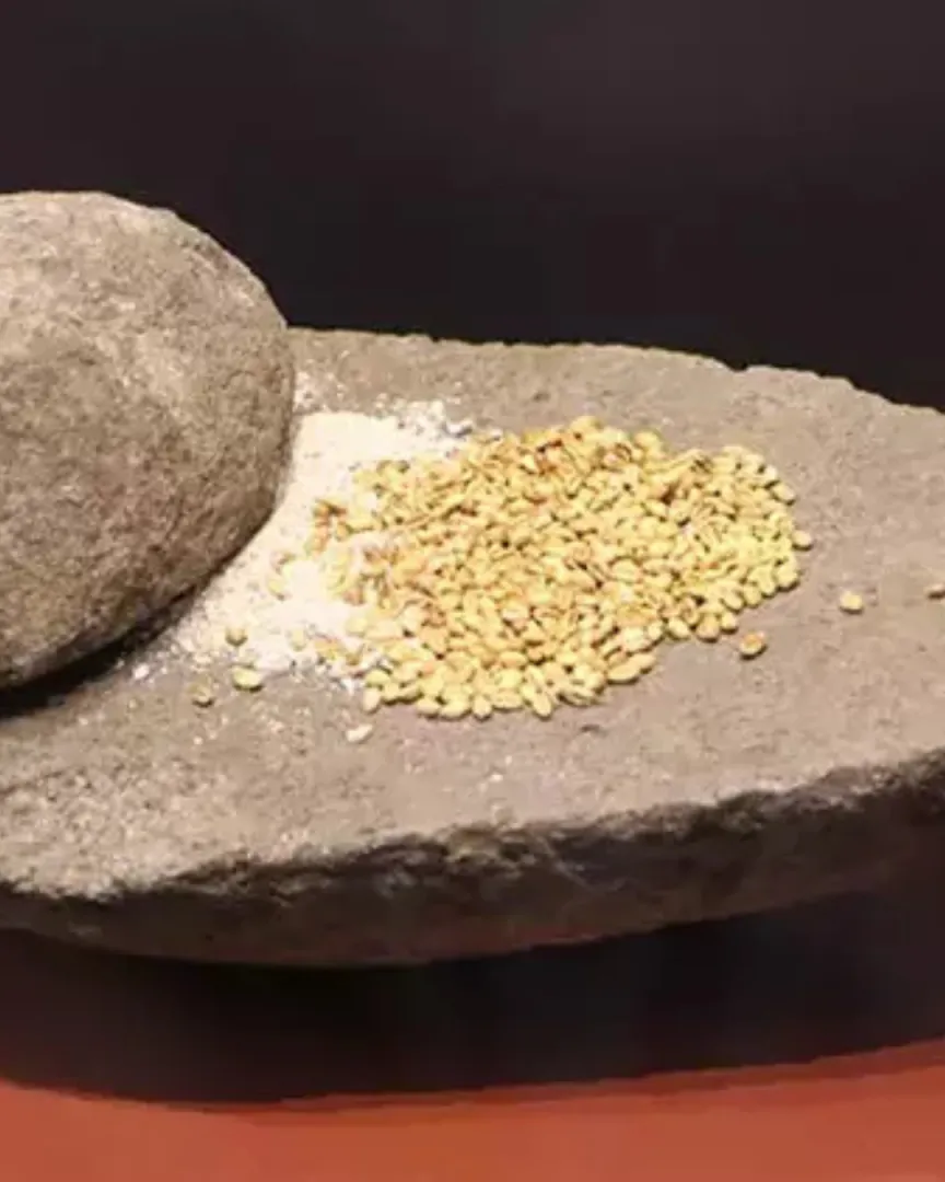 Oymaağaç Höyüğü kazılarında 3 bin yıllık fındık kabuğu bulundu